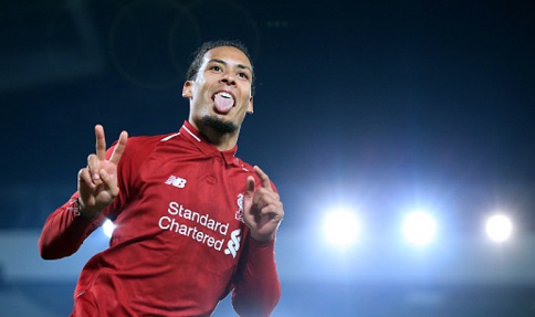 VVD 䫴ʪ