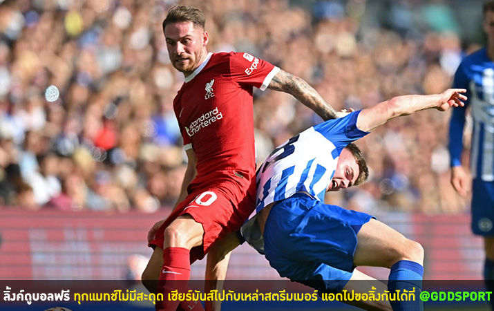 ไม่ยกธงขาว! 'แม็ค อัลลิสเตอร์' ลั่นพร้อมรับบทกองกลางตัวรับต่อ